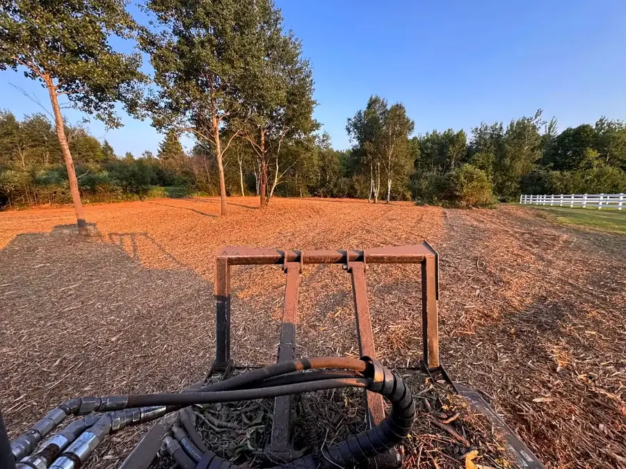 Mulched clearing under tall trees beside a white fence