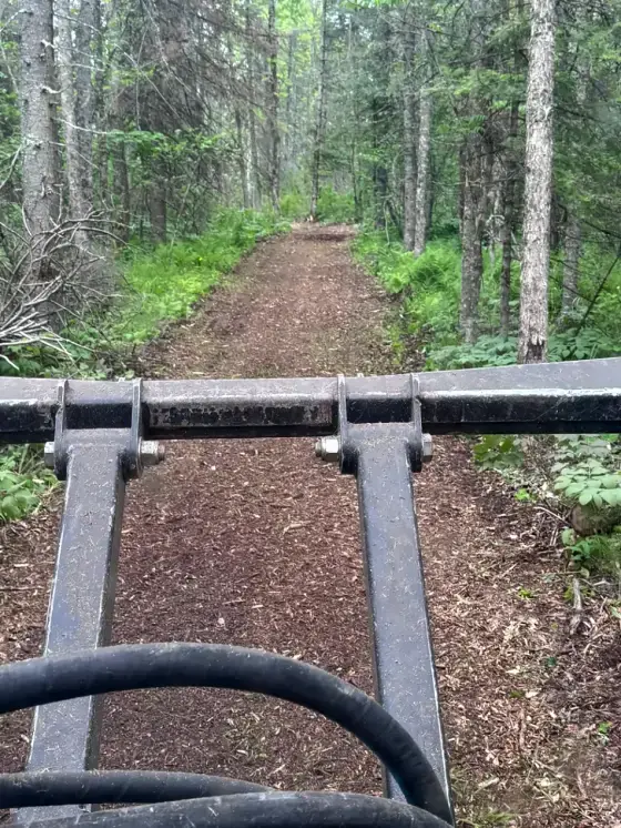Mulched trail cut through thick forest