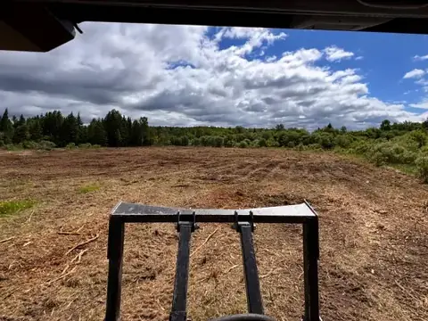 Large field cleared under big clouds