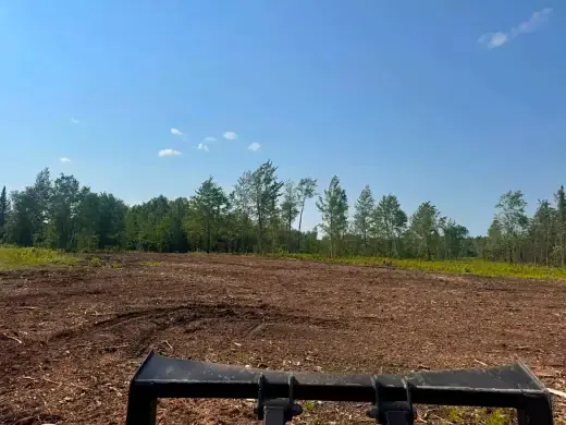 Open clearing mulched to the tree line