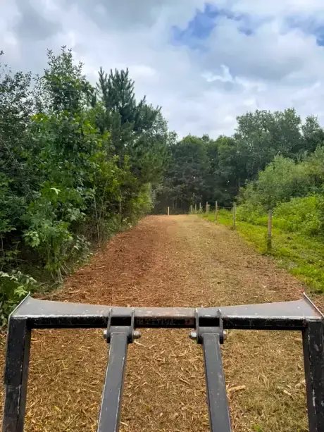 Mulched path beside new fence posts