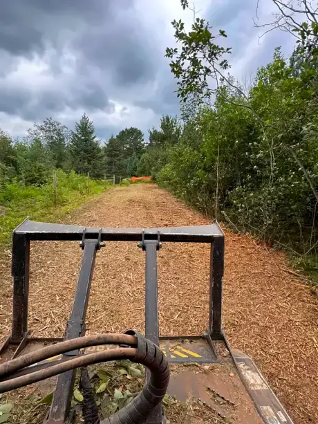 Cleared lane along a fence under storm clouds